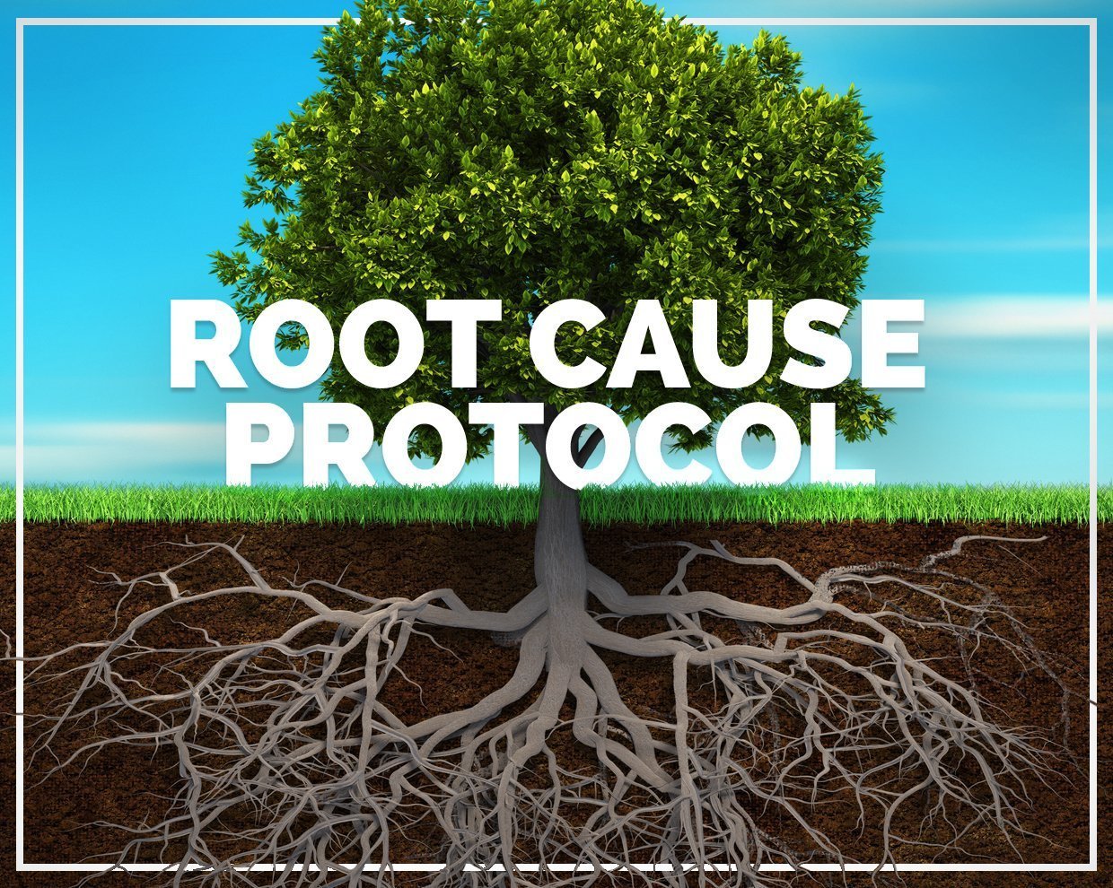 Root Cause Protocol 