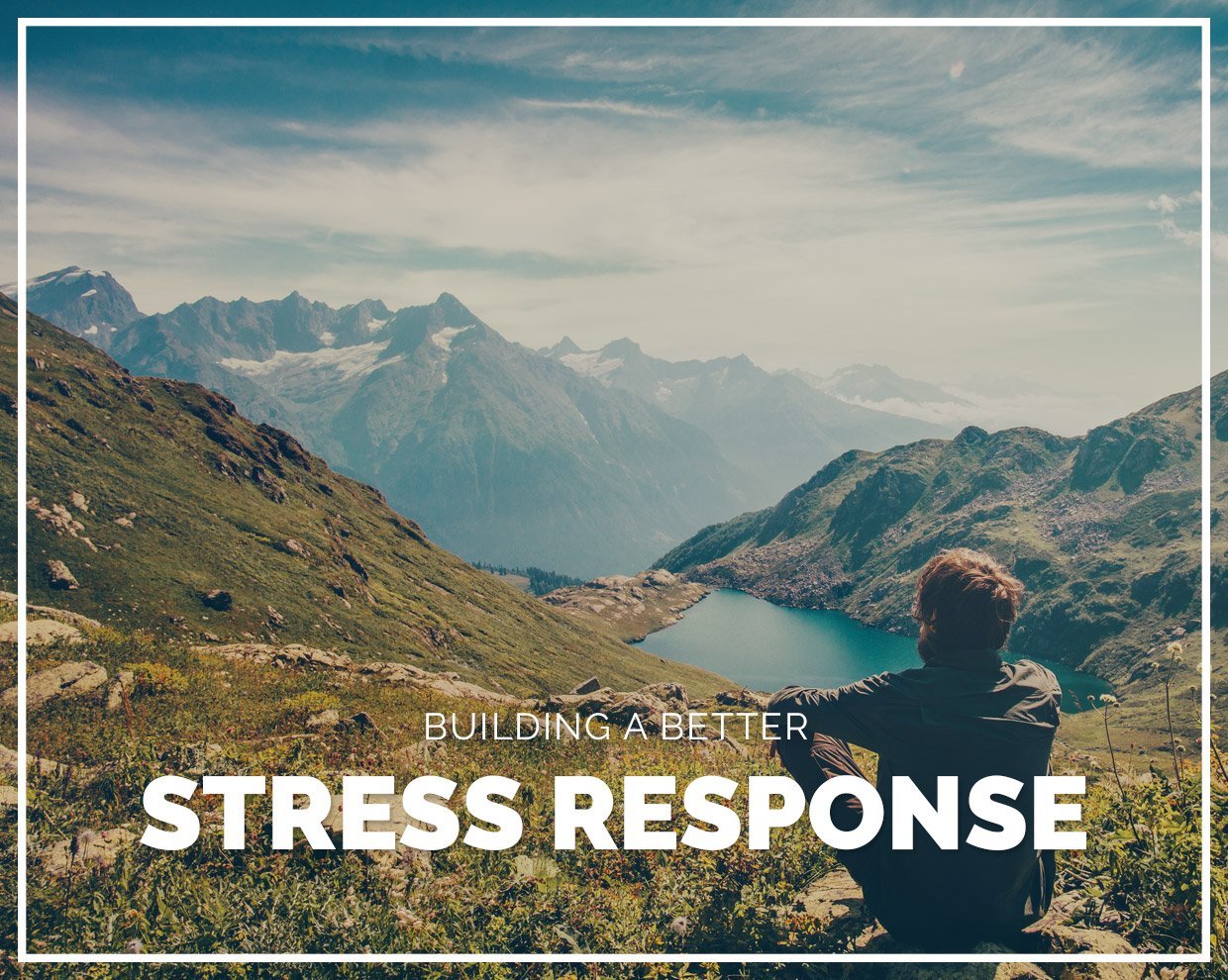 Building a better stress response