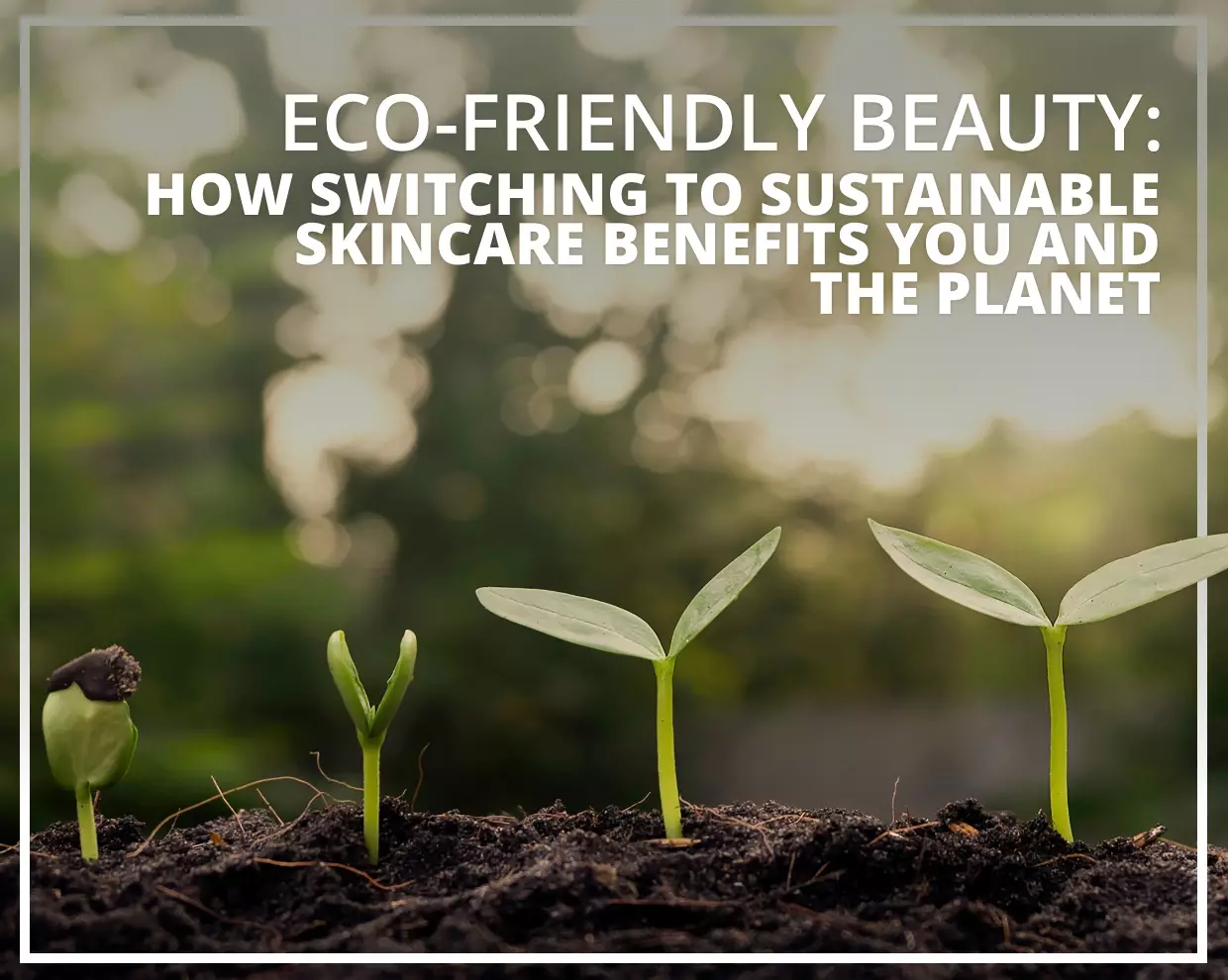 Eco-Friendly Beauty: Sustainable Skincare Benefits