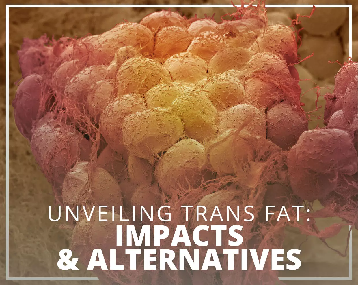 Trans Fat Demystified: Its Impacts and Alternatives