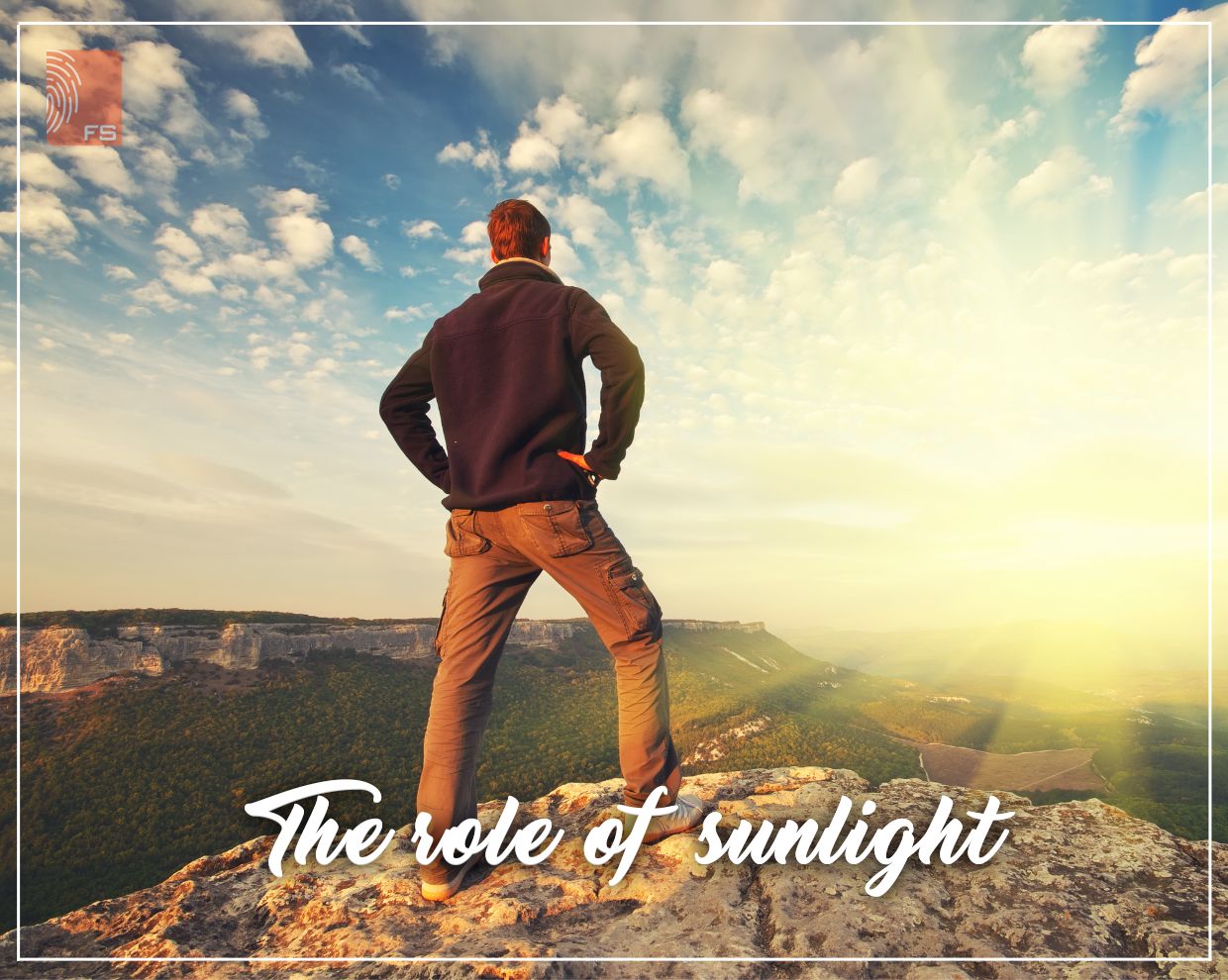 The role of sunlight