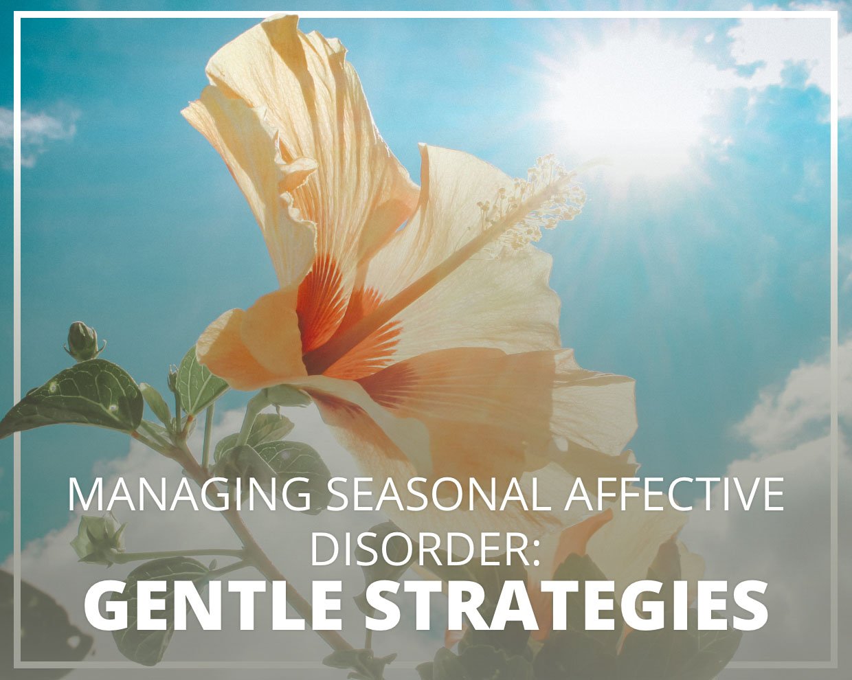 Managing Seasonal Affective Disorder: Gentle Strategies 