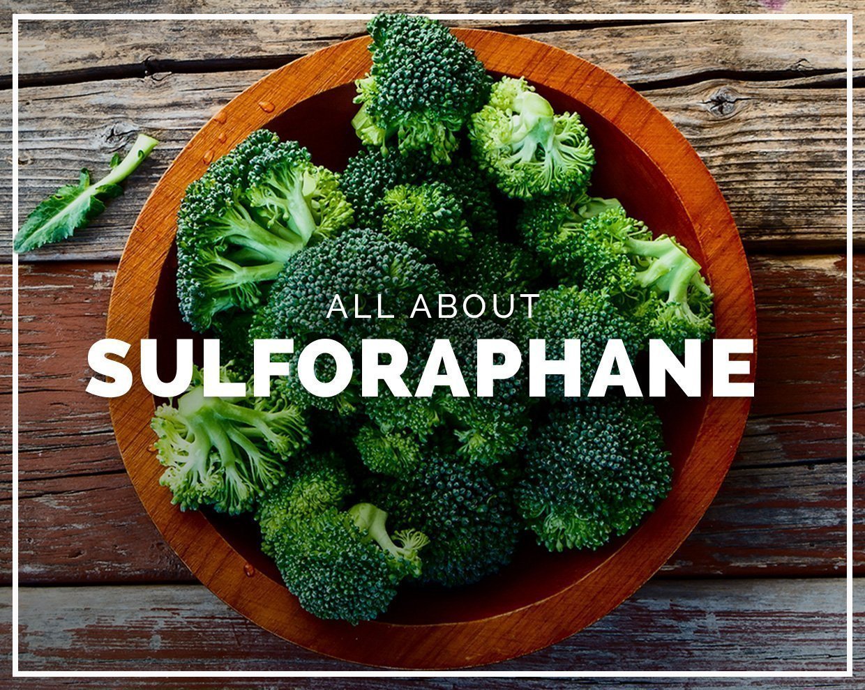 All about Sulforaphane