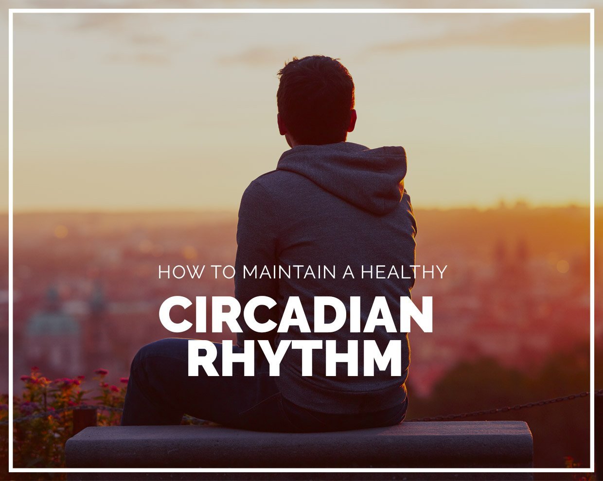 How to maintain a healthy circadian rhythm